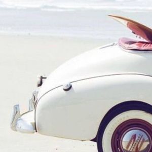 Meet your Posher, Poppy